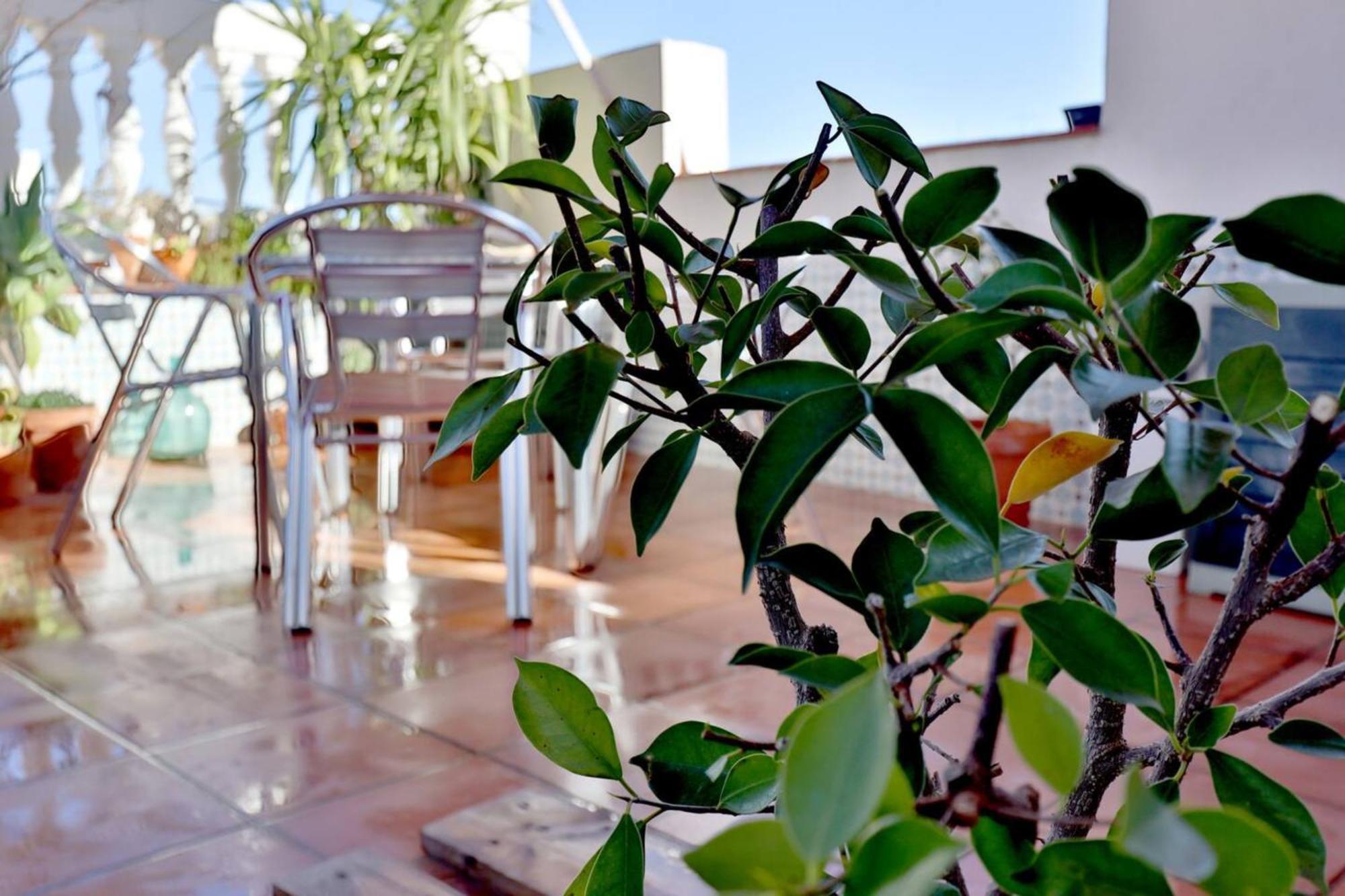 Appartamento Atico Con Terraza En Pleno Centro Cordova Esterno foto